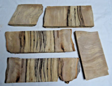 5 St. Gestockte Buche, Bohle, Messergriff, Drechselholz, Schnitzholz, Bastelholz