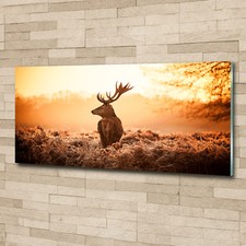Glas-Bild Wandbilder Druck auf
