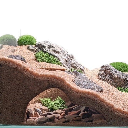 Aquarium terrarium natural - terrarium,