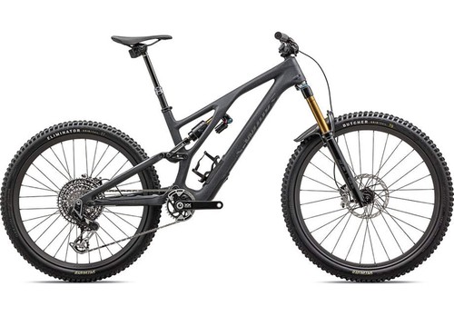2025 specialized works - 2025, s-works