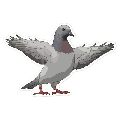 Pigeon with wings - wings, spread'