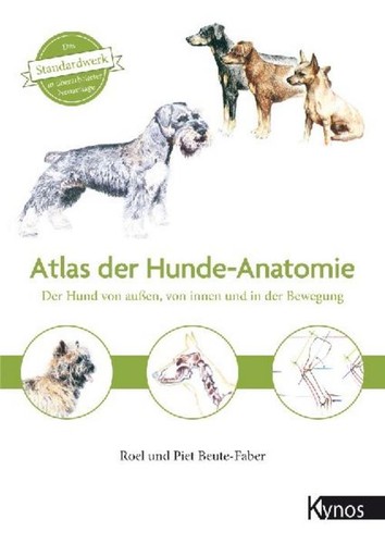 Atlas der hundeanatomie piet - ~,