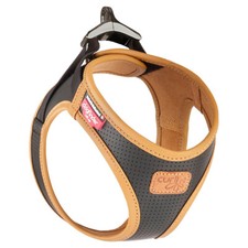 Curli Hundegeschirr Apfel