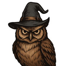 XXL 30X30 Autoaufkleber Böse Eule mit Hexenhut  Aufkleber