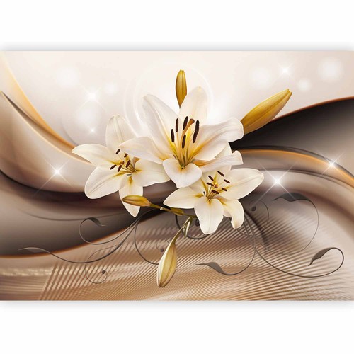 Lilien blumen glanz - blumen,