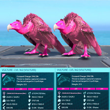 Top Stat Vulture Paarung Paar - Solid Pink - Ark Survival Ascended Crossplay PVE