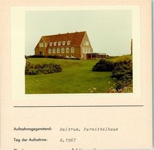 10186353 - 2985 Baltrum