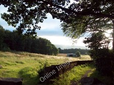 Foto 12x8 Abendsonne in Grenoside Wood Barnes Hall Abendsonne Illu c2010