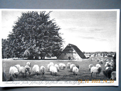 Lüneburger heide - ,