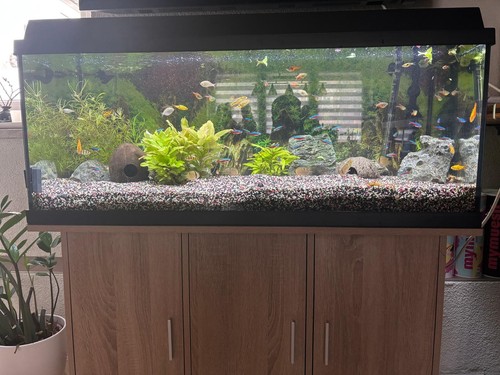 Aquarium 160l mit unterschrank - mit,