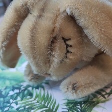 Steiff 7317 0 Hase Floppy