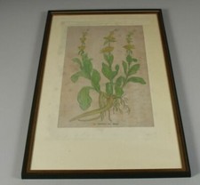 A6/ col. Kupferstich - 18