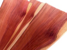 24x ZWETSCHGE PFLAUME KERN FURNIER Möbel Brett Tür Tischplatte REGAL EDELHOLZ