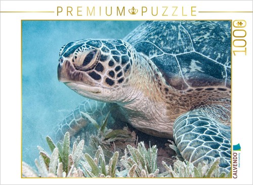 Calvendo puzzle rotes meer - rotes,