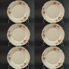 Antike Seltene LIMOGES Service