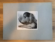 Käthe Kollwitz 1920s Druck