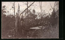 Plochingen, Unwetter im Plochinger Wald am 1. Juni 1913, Ansichtskarte 
