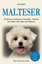 Malteser Mein Hund fürs Leben