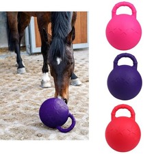 Pferd Spielzeug Spiel Ball