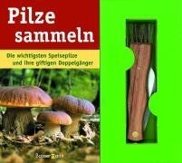 Pilze sammeln die - die, wichtigsten