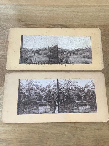 Antike stereoview indische - antike, stereoview-indische