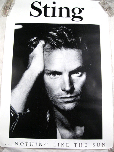 Sting nothing like the sun - the,