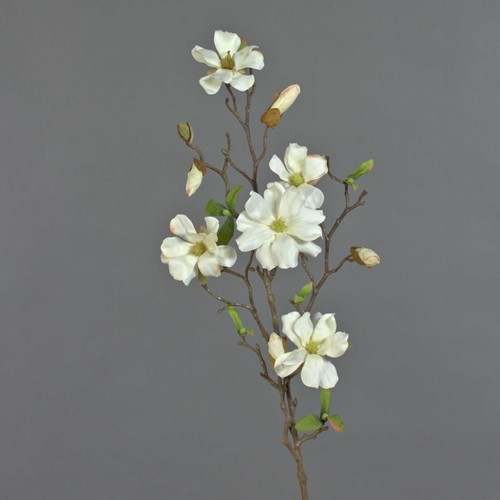 Artplants deko magnolienzweig - artplants,