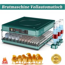 36-48Eier Inkubator