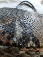 tasche echt pythonleder