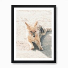 Desert Fox Art Print Framed