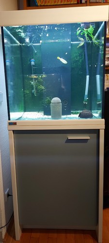 Meerwasseraquarium eheim - meerwasseraquarium,