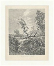 Birkenwäldchen wenglein bach - birkenwäldchen,