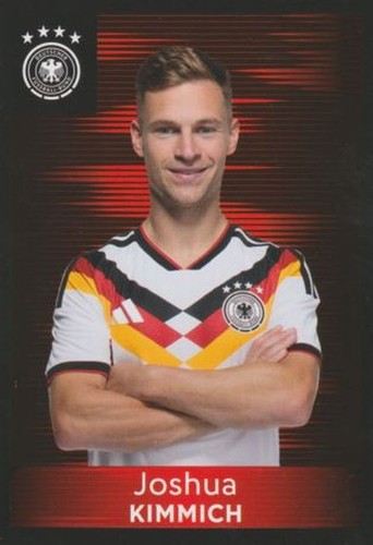 Panini family ferrero - family, dfb