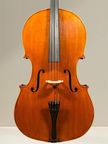 Vultur calin cello - vultur, –