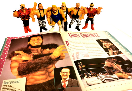 Wwf wwe wrestling figuren - wwe,