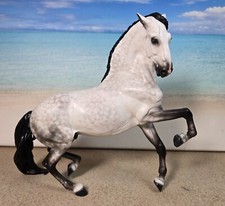 Dartanian Iberian Stallion