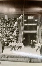 Zirkus gastspiel leipzig - gastspiel,