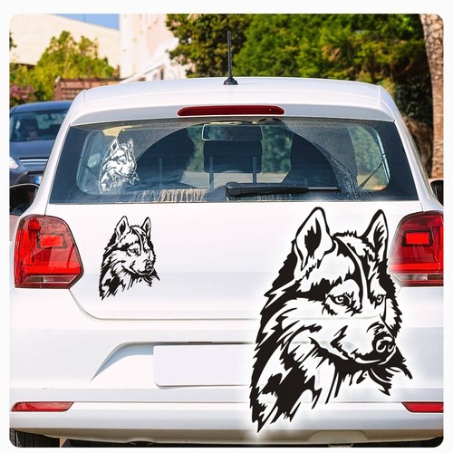 Husky autoaufkleber auto - autoaufkleber,
