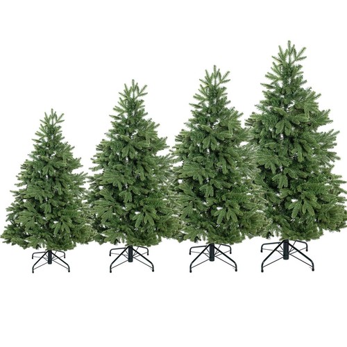 Evergreen weihnachtsbaum - evergreen,