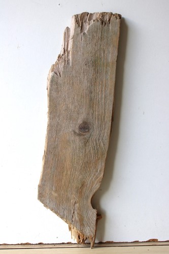 Treibholz schwemmholz - treibholz,