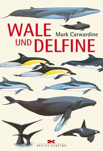Wale und delfine von - wale,