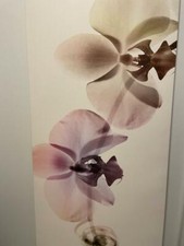 Wandbild, 140 x 56 cm, Leinwandoptik, IKEA PJÄTTERYD.