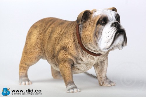 British bulldog figur 1 6 - bulldog,