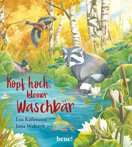 Kopf hoch kleiner waschbär - kopf,