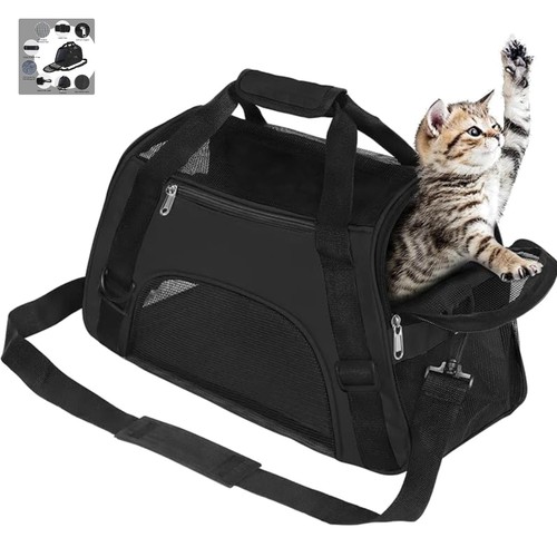 Haustier tasche hund - haustier,