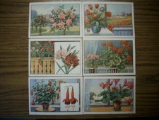 Sammelbilder "ECHTE WAGNER"Album1 Serie28 BLUMEN