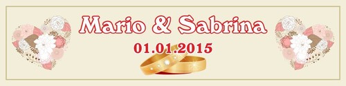 Banner plane hochzeit - plane, 5"