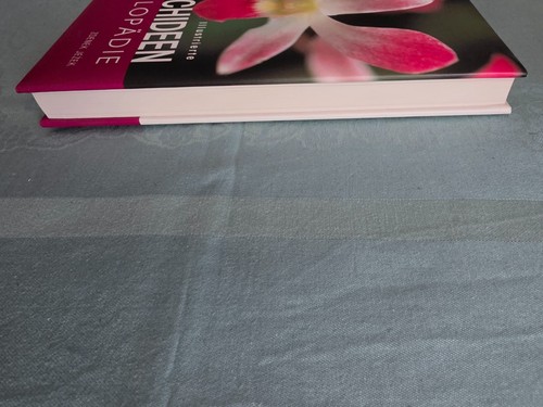 Illustrierte orchideen - illustrierte,