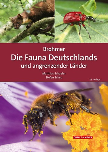 Brohmer die fauna - die,