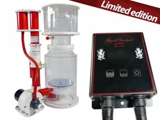 Royal exclusiv bubble king - royal,